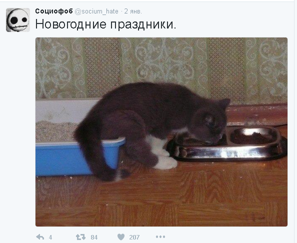 Шел очередной день новогодних праздников застолье, новый год, подборка