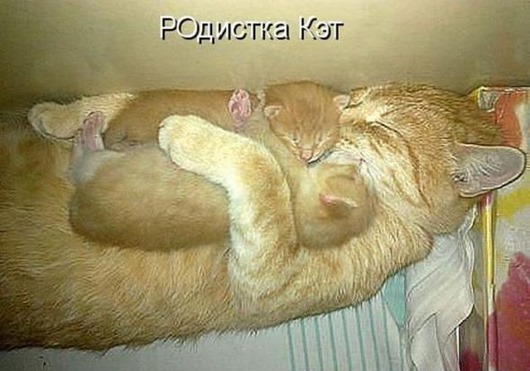 1d9df828fb2d6cb569033ab0a71_prev