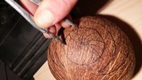 Волшебная кокосовая лампа Волшебная кокосовая лампа