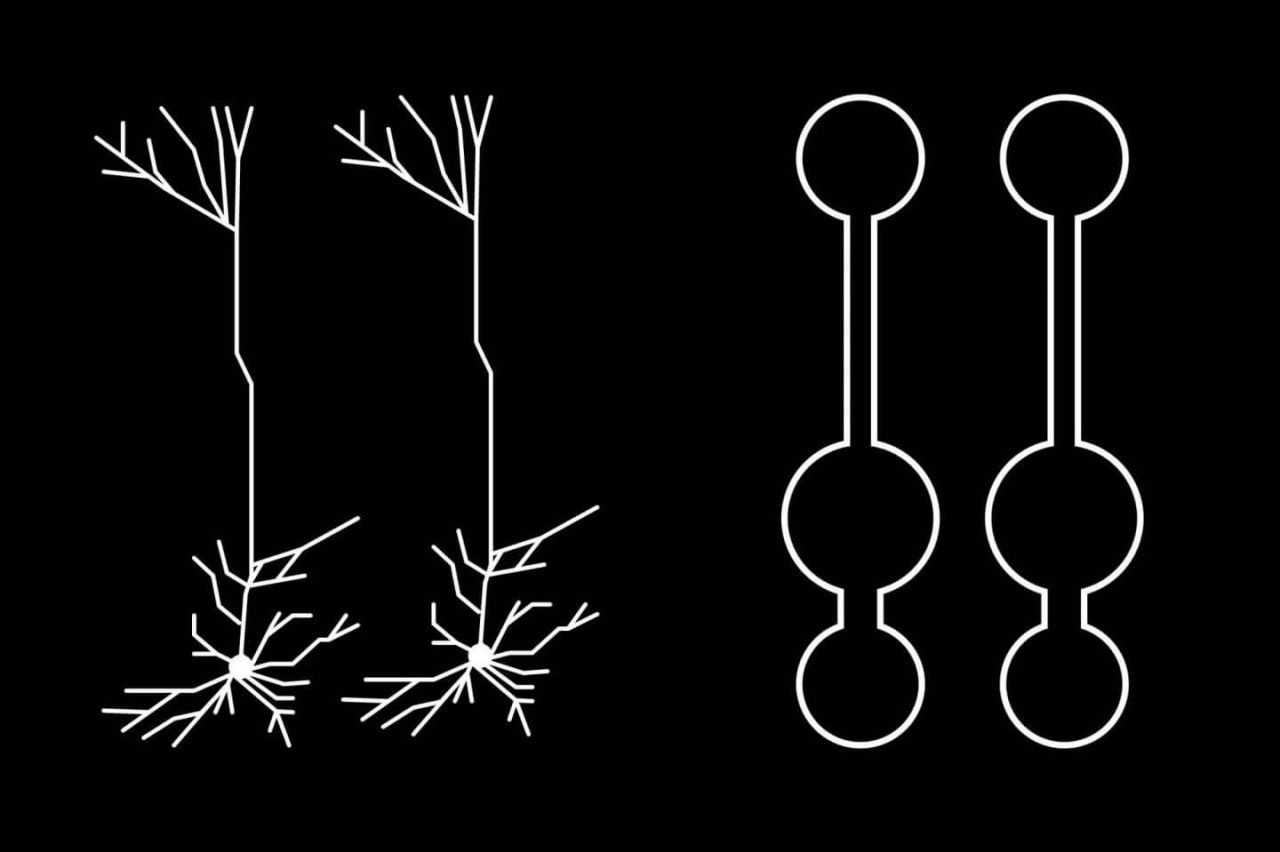 neural-network-model-deep-learning-mouse-primary-visual-cortex-simplified-pyramidal-neuron-models