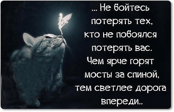 Статусы про тех кого мы потеряли Статусы про тех кого мы потеряли