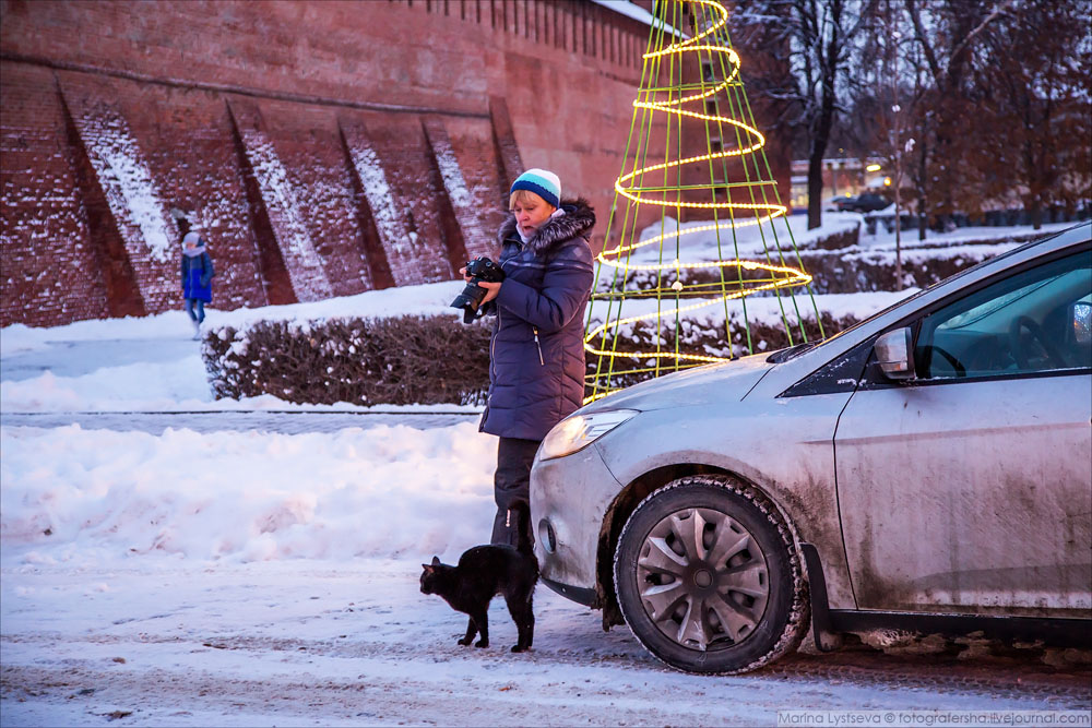 Старуха ударила кота, я на неё накричала. Может надо было догнать и отвесить ей, как она коту? Старуха ударила кота, я на неё накричала. Может надо было догнать и отвесить ей, как она коту?