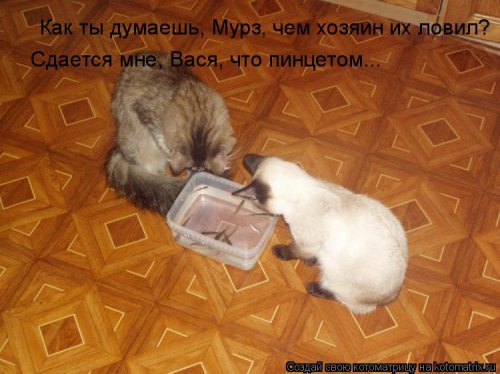 Анекдотики коротенькие, но симпатишные