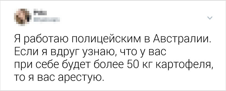 Жители разных стран рассказали, какие нелепые законы действуют у них (А мы постарались их объяснить)