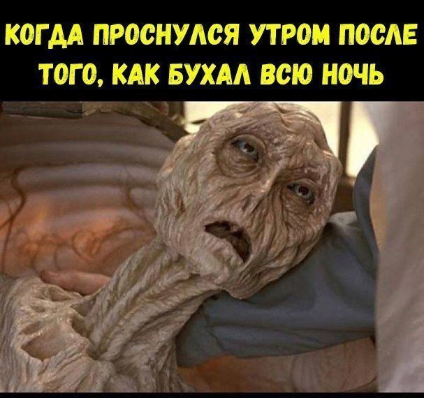 Ну очень остроумные подписи к картинкам Ну очень остроумные подписи к картинкам