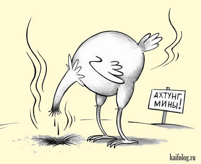 Картинки и карикатуры (45 карикатур) Картинки и карикатуры (45 карикатур)