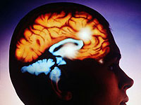 Какое лучшее средство для улучшения работы мозга?
