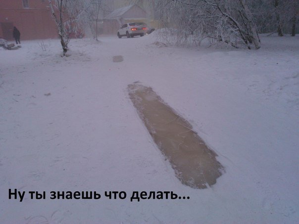Ну очень остроумные подписи к картинкам Ну очень остроумные подписи к картинкам