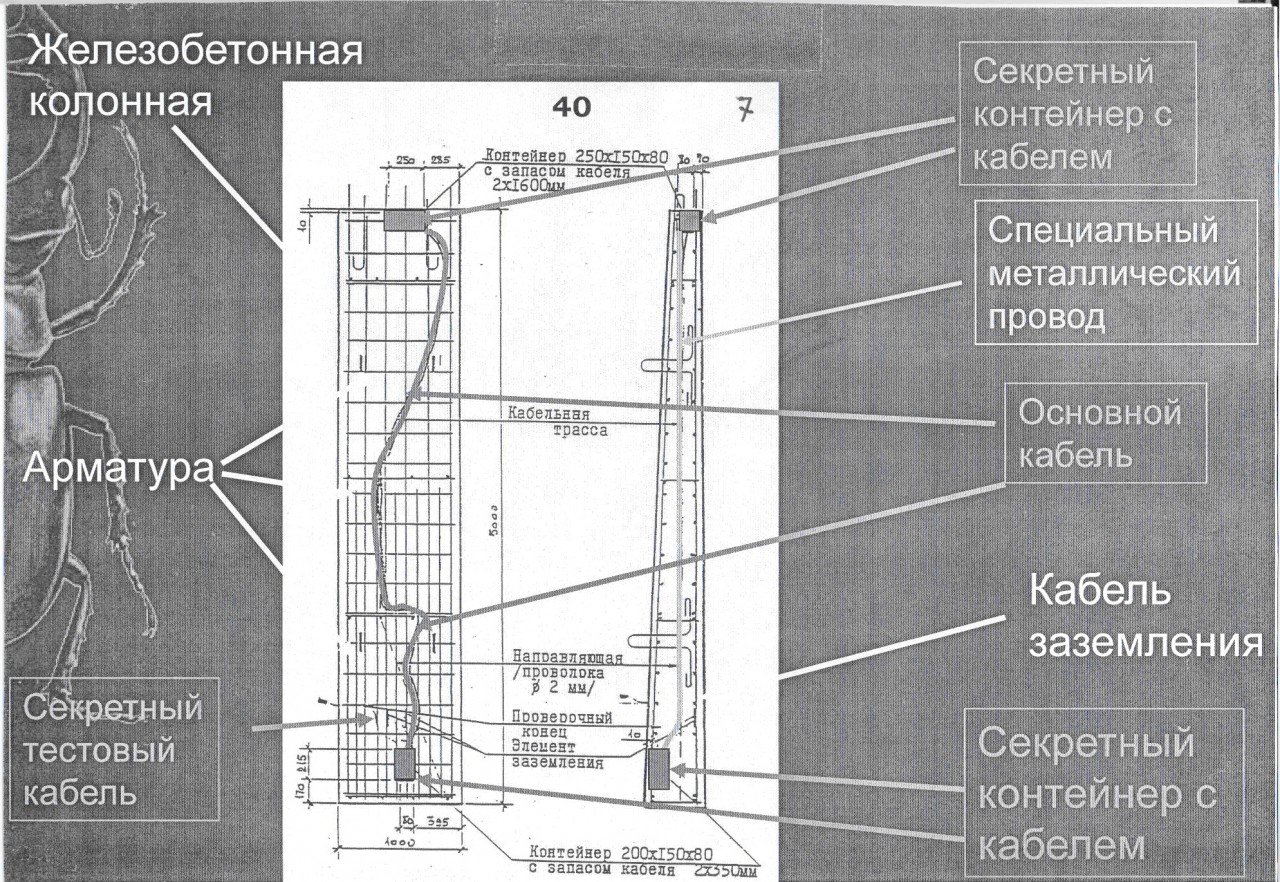 5 декабря-2