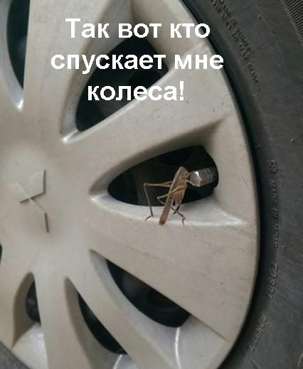 Всяко-разно. Август Всяко-разно. Август