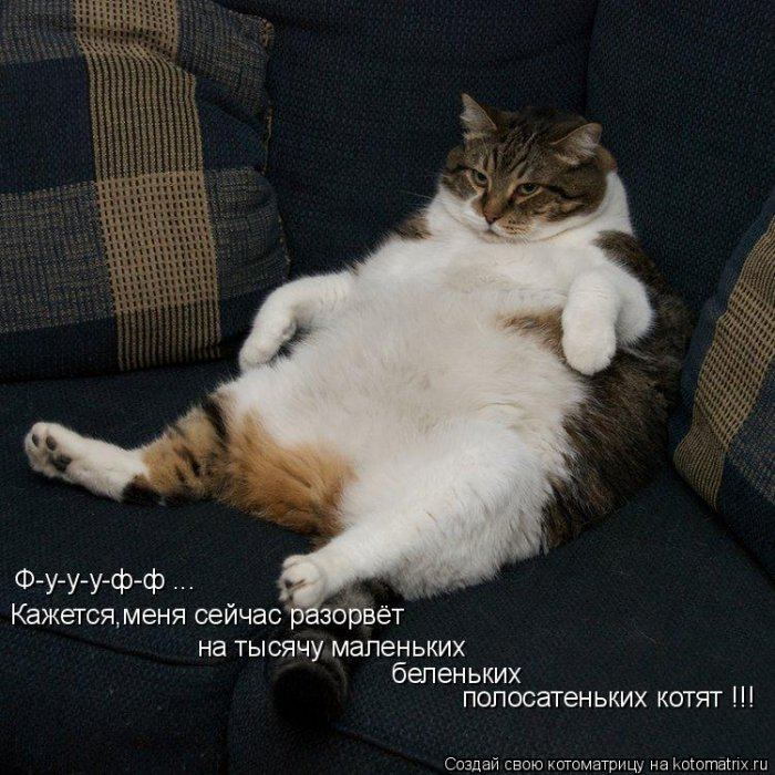 Мысли вслух :)