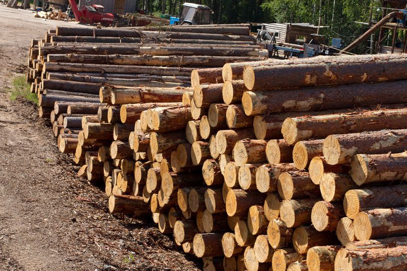 красота, фото, интересное