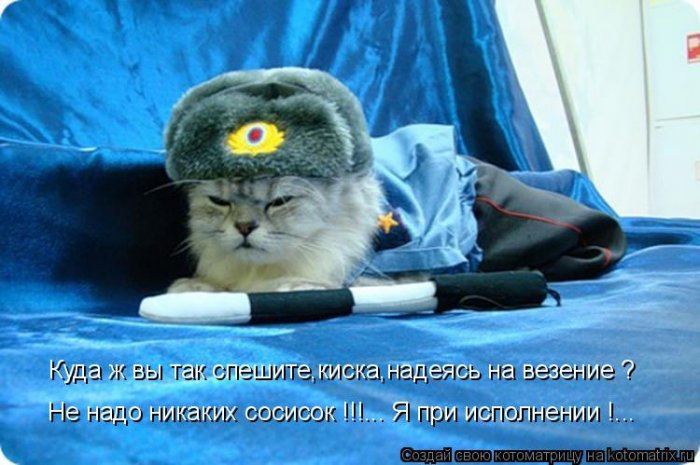 Мысли вслух :)