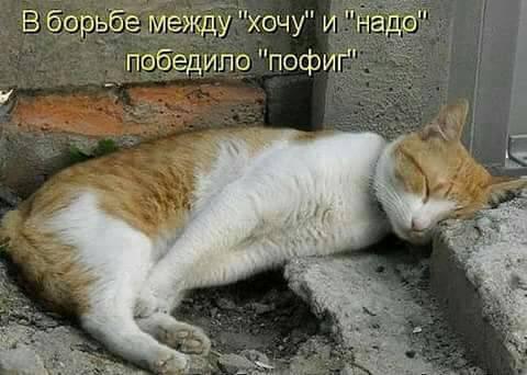 original.jpg#20679285343