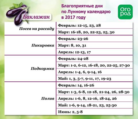 Благоприятные дни для пикировки рассады в апреле 10