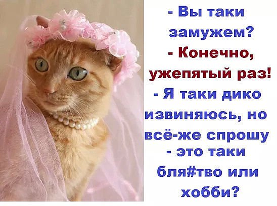 Царевна-лягушка скачет по болоту, а в боку стрела торчит... Царевна-лягушка скачет по болоту, а в боку стрела торчит...
