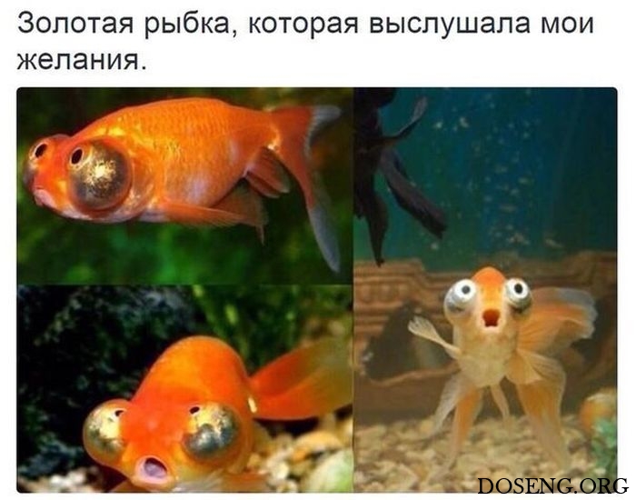 Прикольные картинки Прикольные картинки