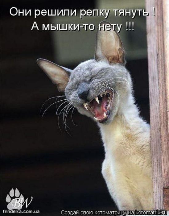 Мысли вслух :)