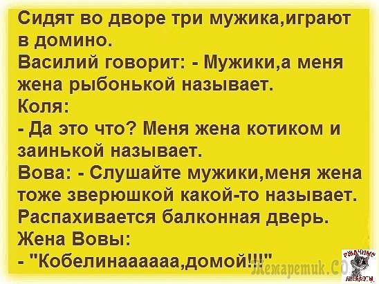 Анекдоты в картинках Анекдоты в картинках