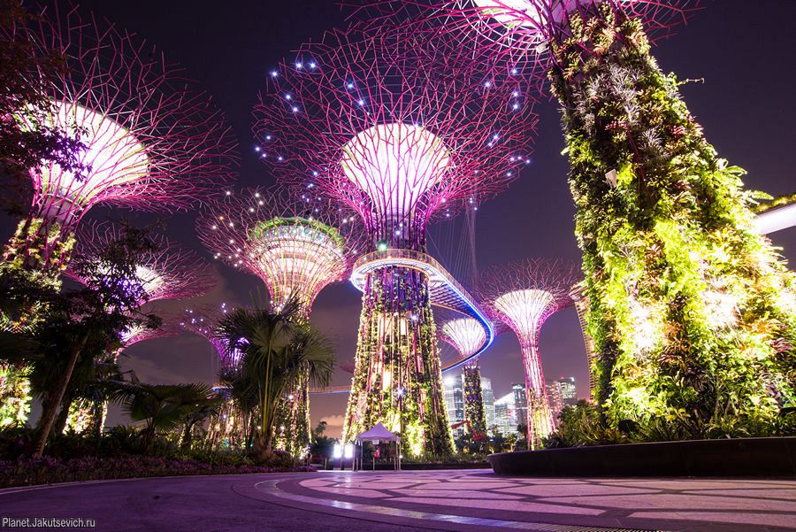 Сады у залива в Сингапуре – Gardens by the Bay