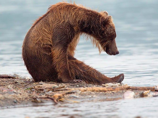 National Geographic:   