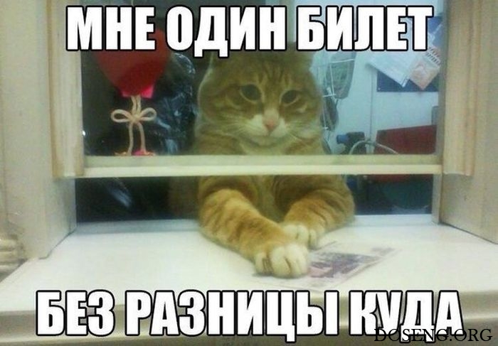 Прикольные картинки Прикольные картинки