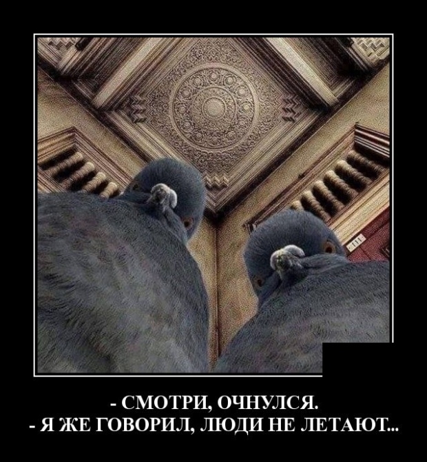 Демотиваторы Демотиваторы