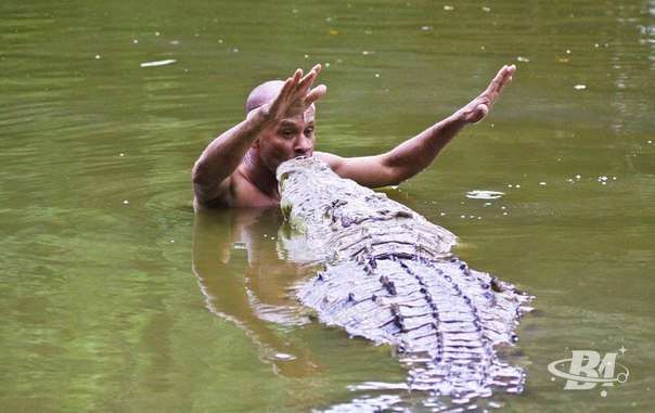 ������, �� ������� ����� �� ����.