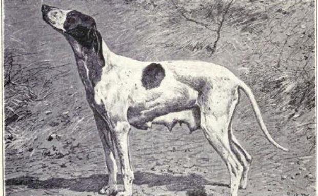 dupuy_pointer_from_1915_620