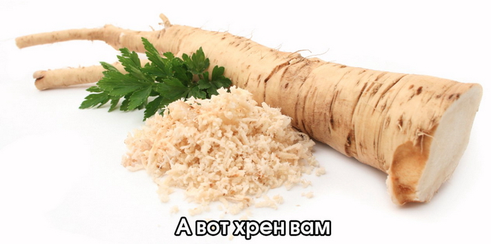"А указчику — хрен за щеку!" По поводу заявления главраввина России Берл Лазара "А указчику — хрен за щеку!" По поводу заявления главраввина России Берл Лазара