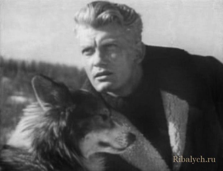 Его любили женщины, а он любил собак Его любили женщины, а он любил собак