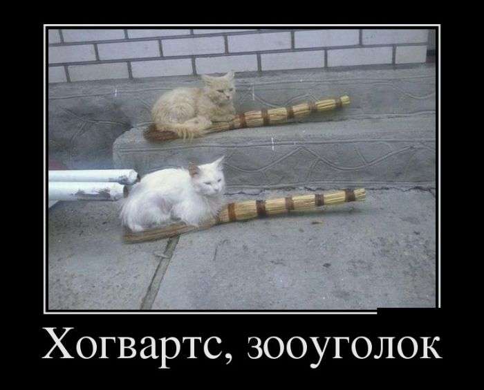 Веселые демотиваторы для веселья и улыбок (11 фото) Веселые демотиваторы для веселья и улыбок (11 фото)