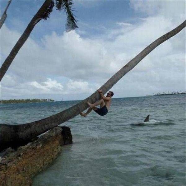 Милые фотографии и прикольные картинки для веселья (11 фото) Милые фотографии и прикольные картинки для веселья (11 фото)
