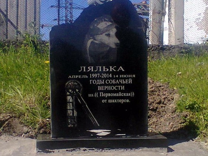 Памятник собаке Ляльке.