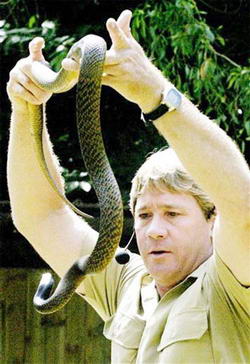 Нелепые смерти