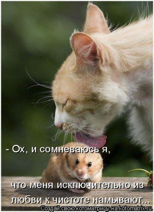Мысли вслух :)