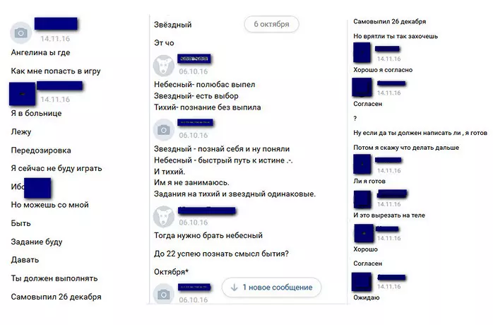 Скриншоты предоставлены "Центром спасения детей от киберпреступлений"