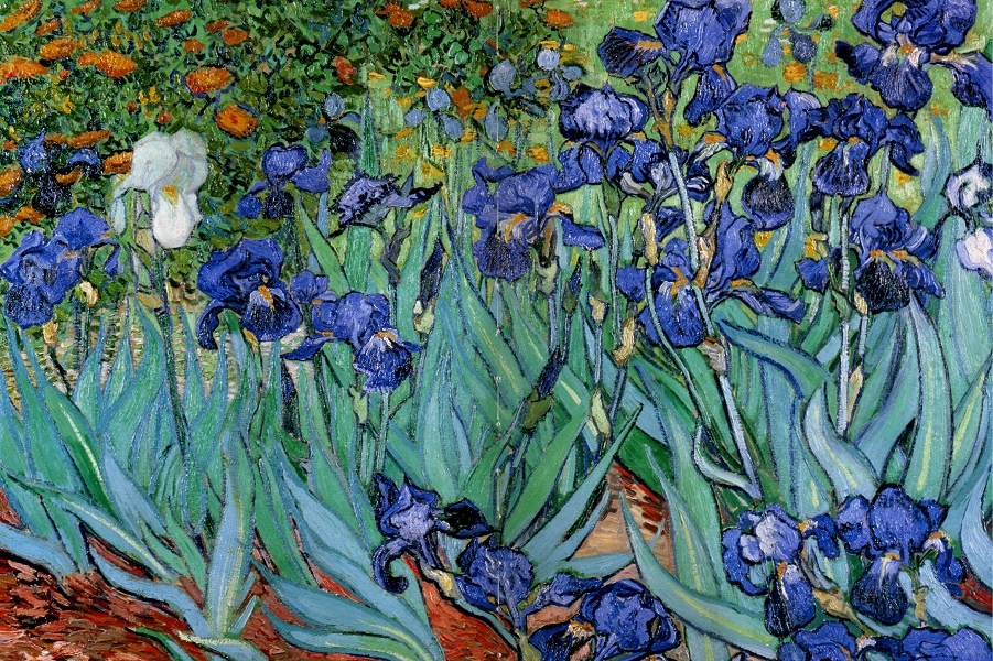 1352765872-1889-van-gogh-les-iris-iriseshuile-sur-toile-71x83-cm (1).jpg 1352765872-1889-van-gogh-les-iris-iriseshuile-sur-toile-71x83-cm (1).jpg