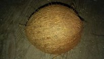 Волшебная кокосовая лампа Волшебная кокосовая лампа