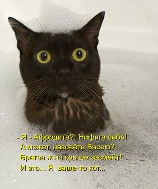 260af1d337fdfa9a927e613e540