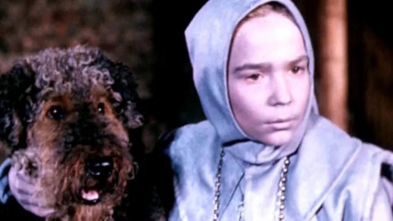 «Веселей собаки - нету существа&#33;»  Приключения пса Чингиза на съемках «Приключений Электроника», изображение №5