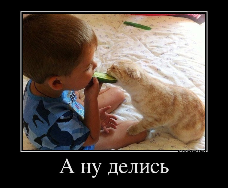 Минутка умиления. Потратьте эту минутку с пользой для настроения!)
