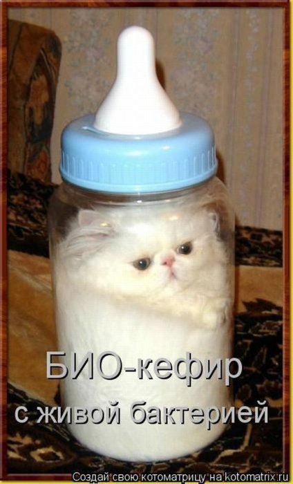 Мысли вслух :)