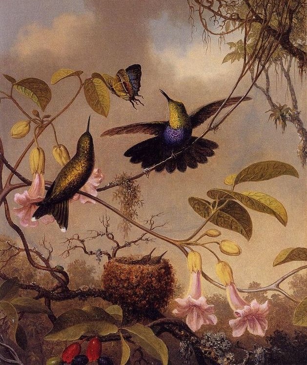 Цветы на картинах Martin Johnson Heade