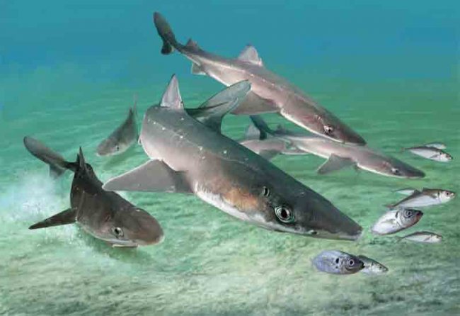 Факты о Чёрном море, которые известные не всем