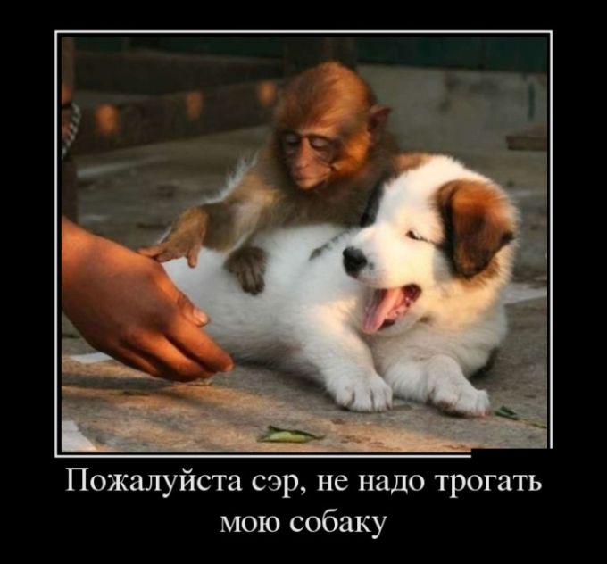 Ржачные демотиваторы на понедельник (10 фото) Ржачные демотиваторы на понедельник (10 фото)
