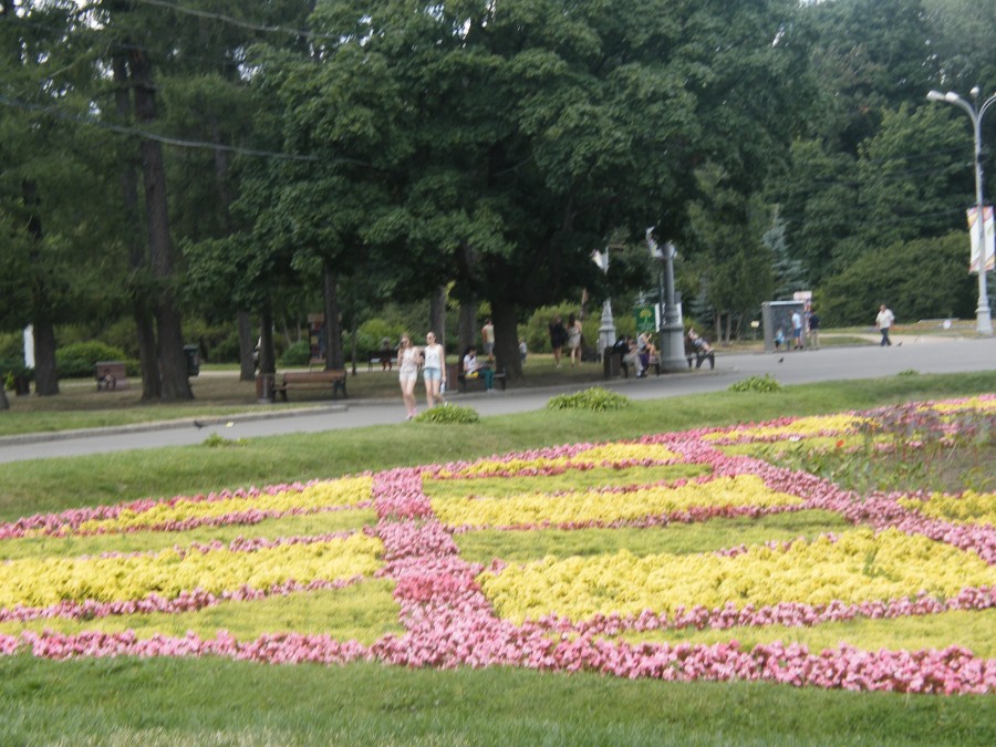 DSCF2043.JPG DSCF2043.JPG
