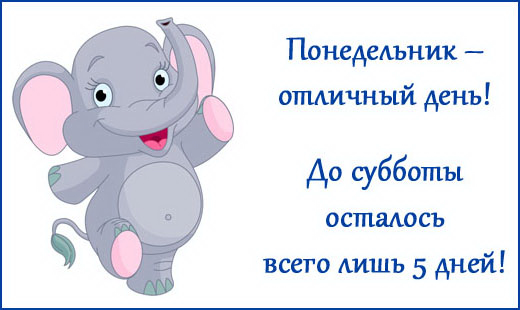 Ничто так не поднимает позитивное настроение как прикольные картинки и анекдоты