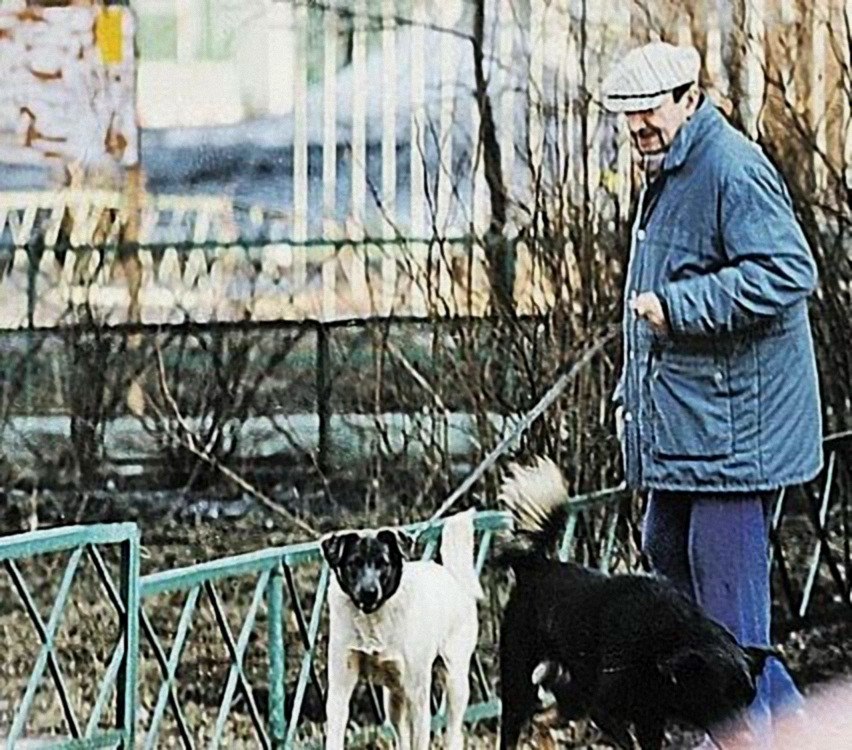 Георгий Вицин кормит бродячих собак. Москва, конец 90-ых. Георгий Вицин кормит бродячих собак. Москва, конец 90-ых.