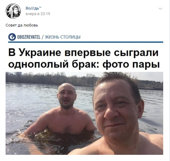 Кёнигсбергские шавки в Калининграде